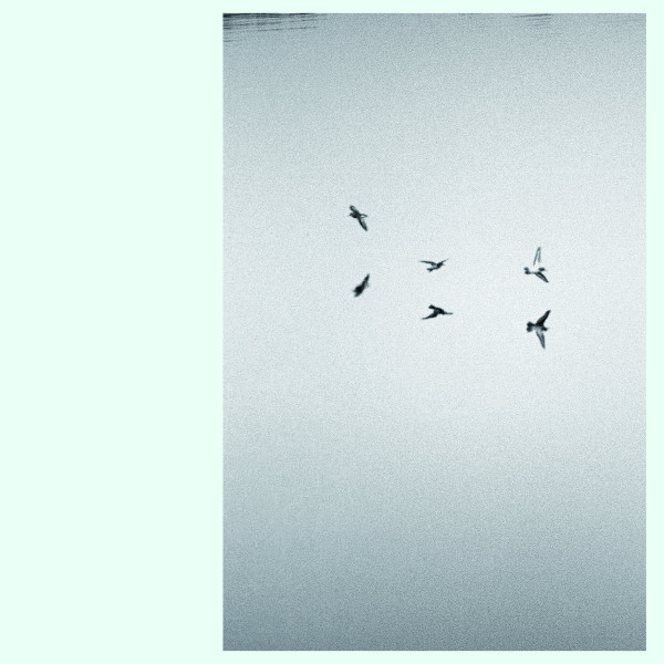 KIRK BARLEY — LANDSCAPES