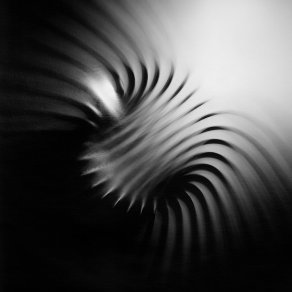 ARASH MOORI — Heterodyne