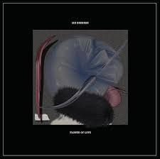 IAN DRENNAN — Flower Of Love