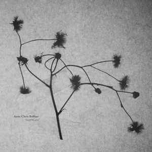 NORMIL HAWAIIANS — DARK WORLD