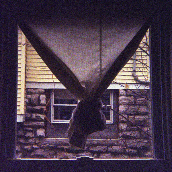 THE TOADS — IN THE WILDERNESS