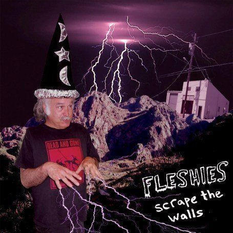 FLESHIES — SCRAPE THE WALLS