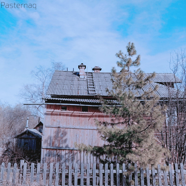 SATORI CIRCUS — SATORI CIRCUS