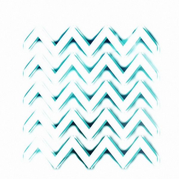 ROGER SALLOOM AND THE VEST POC — THE CITY IN AN OWLS EYE