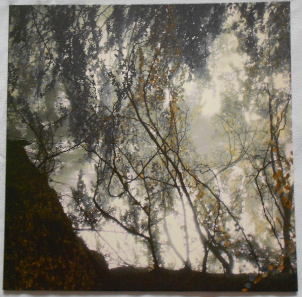 CHIRAL — Gazing Light Eternity