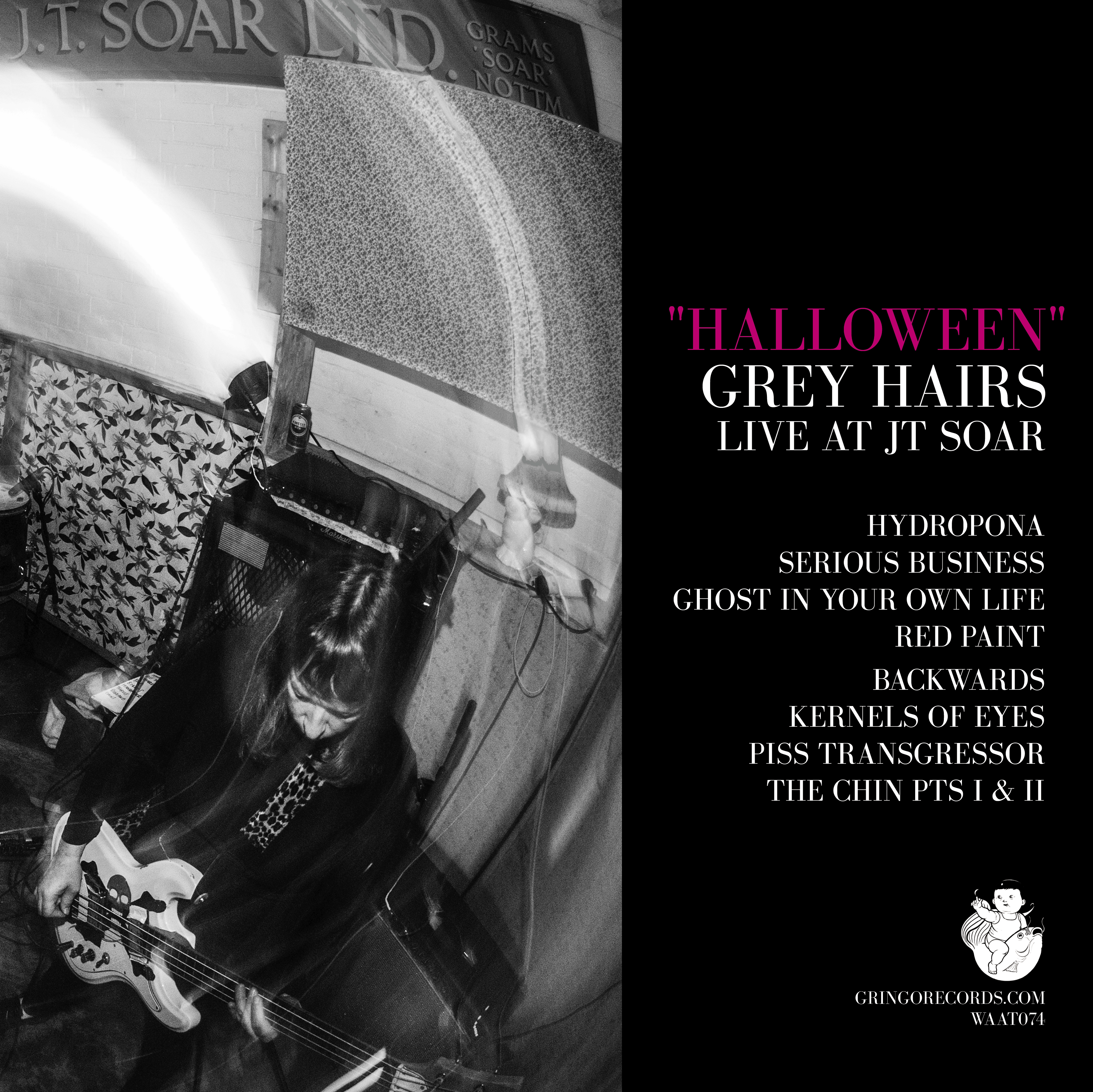 GREY HAIRS — HALLOWEEN (LIVE AT JT SOAR)