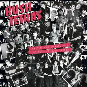 BUSH TETRAS — RHYTHM AND PARANOIA: THE BEST OF BUSH TETRAS
