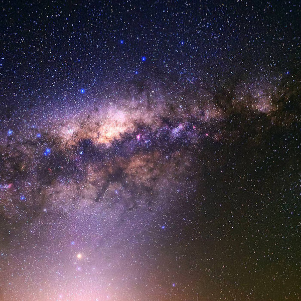 Various Artists — Fake News EP