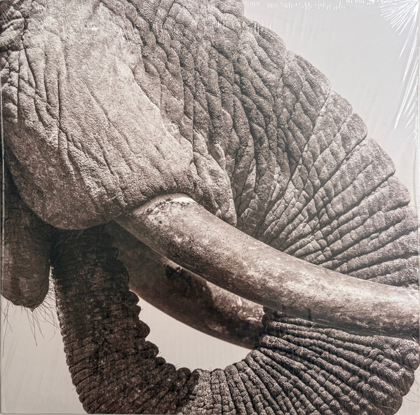 WHITE ELEPHANT — WORLD ELEPHANT DAY