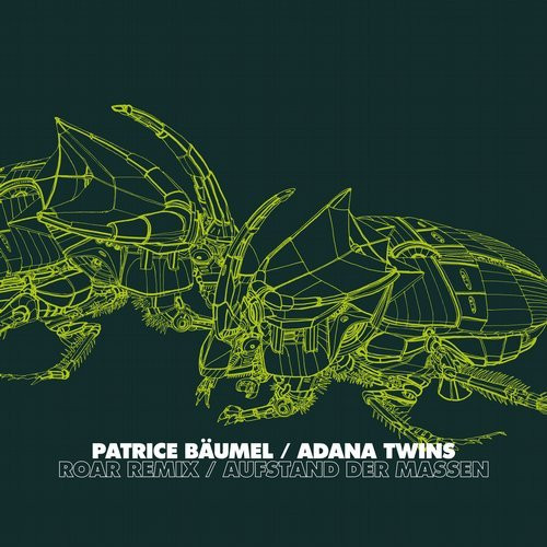 PATRICE BAUMEL/ADANA TWINS — ROARS REMIX/AUFSTAND