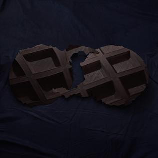 DIRTY PROJECTORS — DIRTY PROJECTORS