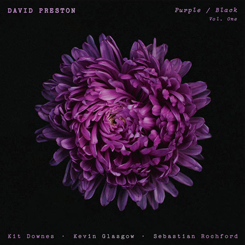 DAVID PRESTON — PURPLE / BLACK VOL.1