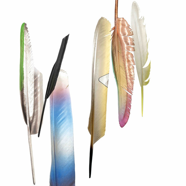 POWELL TILLMANS — SPOKEN BY THE OTHER