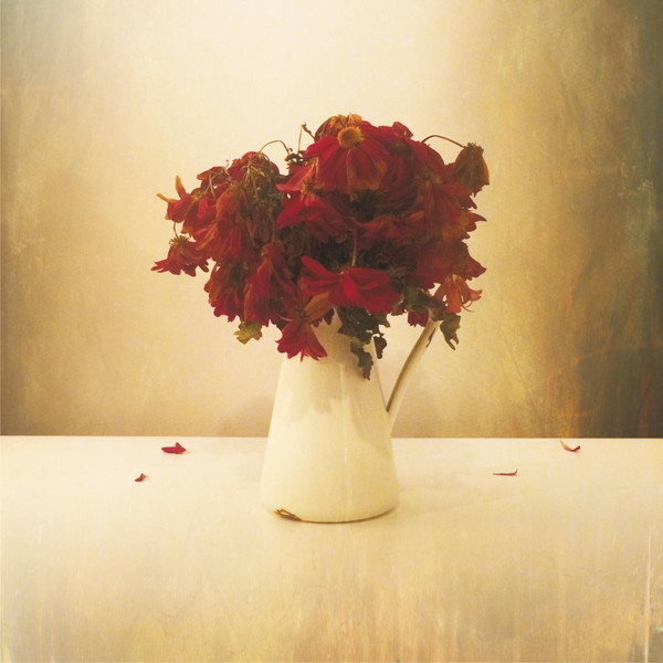 LION & THE WOLFTHE — CARDIAC HOTELTHE