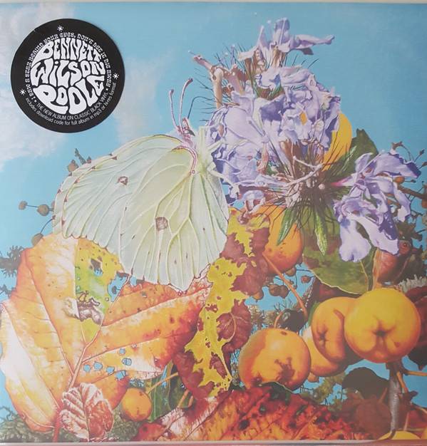 BENNETT WILSON POOLE — I SAW A STAR BEHIND YOUR EYES