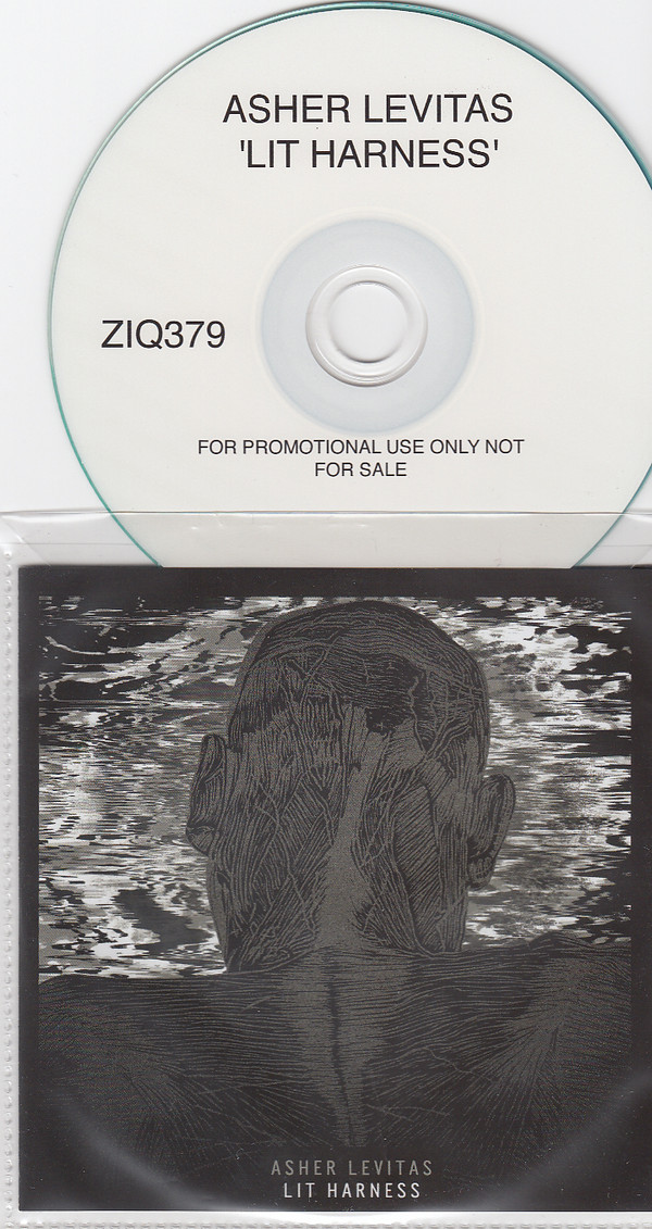 ASHER LEVITAS — LIT HARNESS
